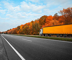Chemical Transport